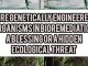 Are Genetically Engineered Organisms In Bioremediation A Blessing Or A Hidden Ecological Threat?