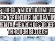 Is The Gut Microbiome The Next Frontier In Treating Mental Health Disorders Through Biotech