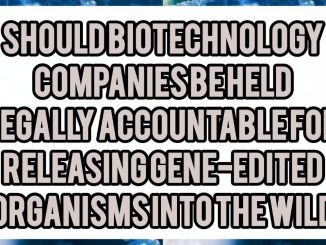 Should Biotechnology Companies Be Held Legally Accountable for Releasing Gene-Edited Organisms Into the Wild