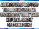 Are Biofuels Produced Through Industrial Biotechnology Truly Carbon-Neutral, or Is It Greenwashing