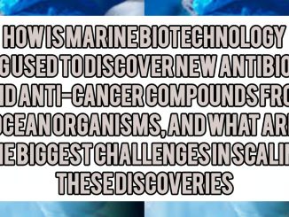 How Is Marine Biotechnology Being Used to Discover New Antibiotics and Anti-Cancer Compounds From Ocean Organisms, and What Are the Biggest Challenges in Scaling These Discoveries