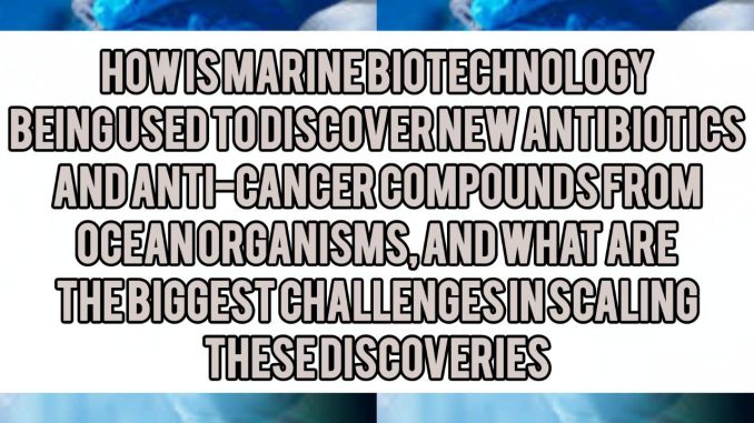 How Is Marine Biotechnology Being Used to Discover New Antibiotics and Anti-Cancer Compounds From Ocean Organisms, and What Are the Biggest Challenges in Scaling These Discoveries How Is Marine Biotechnology Being Used to Discover New Antibiotics and Anti-Cancer Compounds From Ocean Organisms, and What Are the Biggest Challenges in Scaling These Discoveries