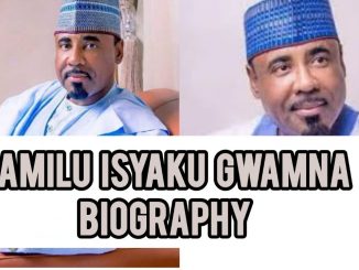Jamilu Isyaku Gwamna Biography