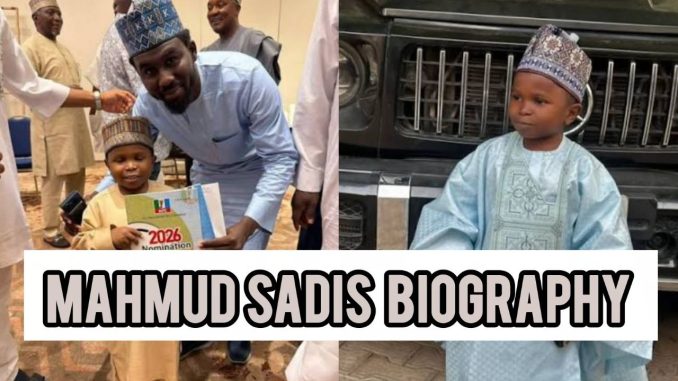 Mahmud Sadis Buba Biography